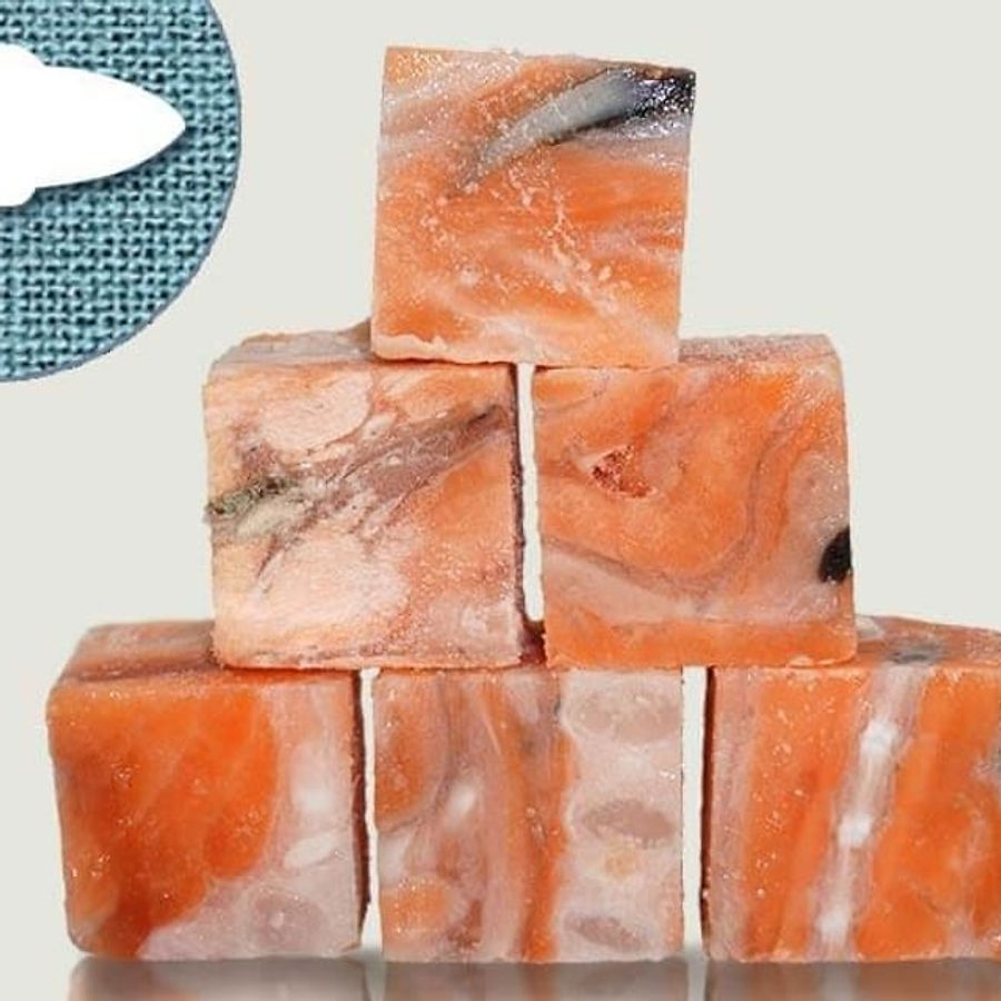 Graf Barf Lachs Allerlei